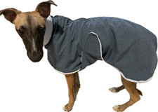 Softshell mantel windhunde gebraucht kaufen  Pulsnitz