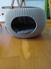 Cuccia plastica dura usato  Genova