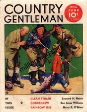 1934 country gentleman for sale  Kaufman