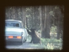 Super 8mm yellowstone for sale  Brookfield