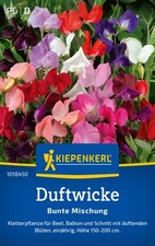Duftwicke bunte mischung gebraucht kaufen  Essen