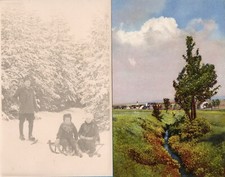 113 298 frühling gebraucht kaufen  Prösen
