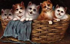 Adorable cats kittens for sale  Moorpark