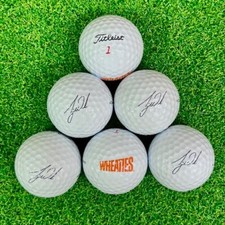 Tiger woods logo for sale  Martensdale