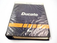 Fiat ducato typ gebraucht kaufen  Merseburg