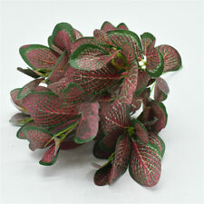 Artificial plantss plant for sale  UK