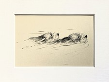 Otterhound dogs vintage for sale  NORWICH