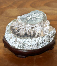Japanese stone bonsai d'occasion  Expédié en Belgium