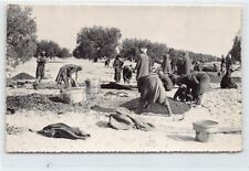 Tunisie domaine dazinville d'occasion  France