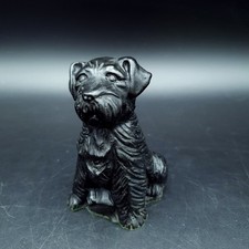 welsh terrier for sale welsh terrier for sale NORTHAMPTON