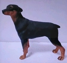 Leonardo collection doberman for sale  SCUNTHORPE