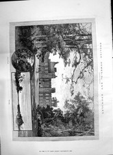 Old 1890 england for sale  UK