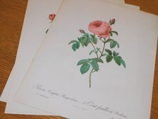 Lot imprimerie remond d'occasion Lot imprimerie remond d'occasion  Saint-Louis