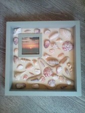 shadowbox art seashell for sale shadowbox art seashell for sale Sarasota