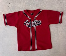 Vintage phoenix coyotes for sale  Phoenix