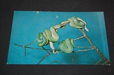Vintage chrome postcard for sale  Escondido
