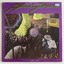 Black Grass - Self TItled S/T  LP  Shelter Records SW-8916   1973 comprar usado  Enviando para Brazil