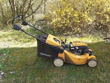 Profi benzinrasenmäher cub gebraucht kaufen  Zierenberg