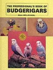 Professional book budgerigars for sale  ROSSENDALE