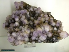 Amethyst caton mine gebraucht kaufen Amethyst caton mine gebraucht kaufen  Weiden