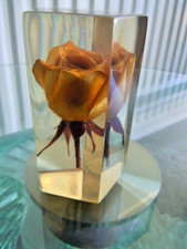 Vintage rose polygon for sale  BATTLE