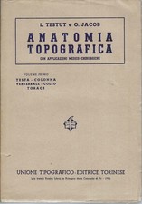 Anatomia topografica testut usato  Gorizia