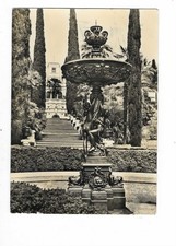D241 sotschi botanischer gebraucht kaufen  Petersberg, Wettin-Löbejün