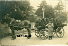 Stansted, cavalo e carroça de comerciantes de carvão T. Hicks & Co RP comprar usado  Enviando para Brazil