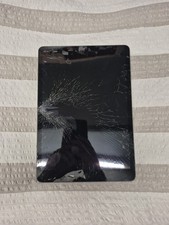 Apple ipad 64gb gebraucht kaufen  Neunkirchen