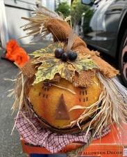 Halloween fiber optic for sale  Coventry