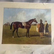 Vintage print racehorse for sale  BASILDON