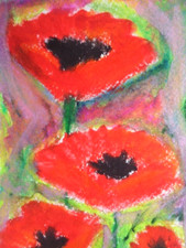 Bright red poppy for sale  Anaheim