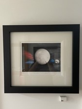 Doug hyde bird for sale  WHITBY
