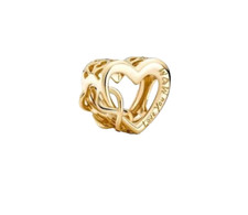 Charms anhänger 925 gebraucht kaufen Charms anhänger 925 gebraucht kaufen  Hohenleipisch