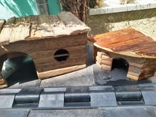 Meerschweinchen haus häuser gebraucht kaufen  Bornich, Dahlheim, Kestert