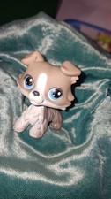 Collie dog authentic for sale  Cedar Rapids