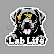 Lab life black for sale  Charlotte