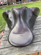 Ideal brown havana for sale  RUGBY