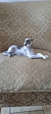Porzellanfigur windhund made gebraucht kaufen  Crailsheim