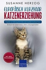 Europäisch kurzhaar katzenerz gebraucht kaufen  Berlin