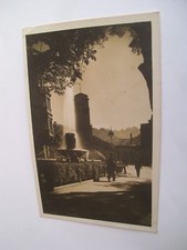 collezione rane usato collezione rane usato Asti