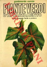 Pizzetti piante verdi usato  Italia