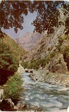 Vintage postcard kings for sale  USA