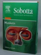 Sobotta lernkarten muskeln gebraucht kaufen  Anklam