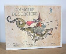 Grimoire sorcière recettes d'occasion  Le Mans
