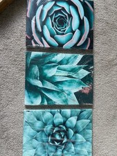 Succulent canvas wall for sale  Mount Holly