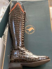 Celeris bia dressage for sale  HENFIELD