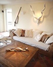 Kudu antilope afrika gebraucht kaufen  München