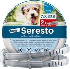 Petits chiens colliers d'occasion  Draveil