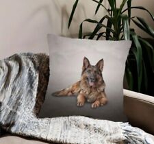 New beautiful german for sale New beautiful german for sale  MANCHESTER